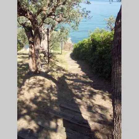 Villa sulla scogliera tra ulivi secolari *