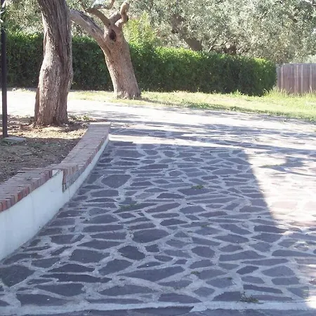 Villa sulla scogliera tra ulivi secolari Villa Vasto